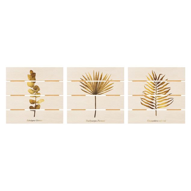 Houten schilderijen op plank - 3-delig Gold - Tropical Leaves Set I