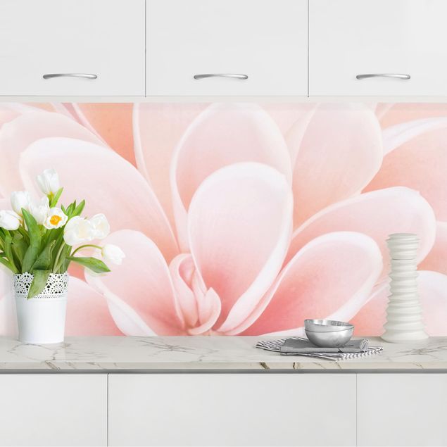 Achterwand voor keuken bloemen Dahlia In Pastel Pink