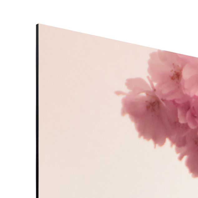 Aluminium Dibond schilderijen Pale Pink Spring Flower With Bokeh