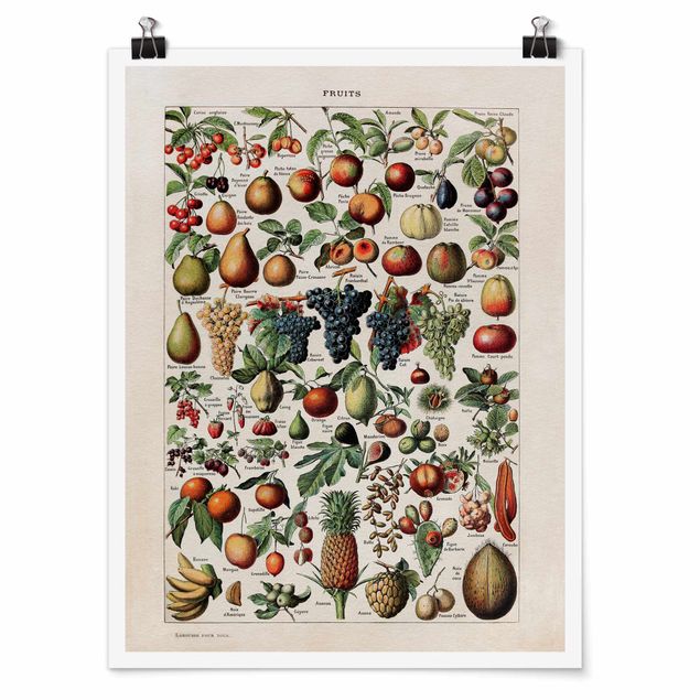 Posters Vintage Board Fruits