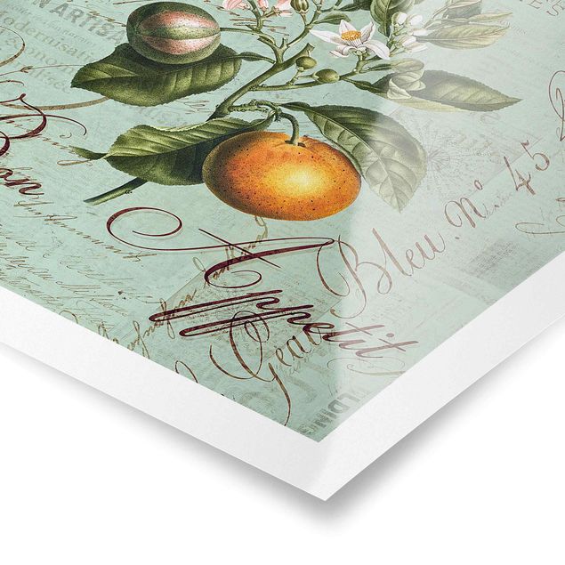 Posters Shabby Chic Collage - Orange