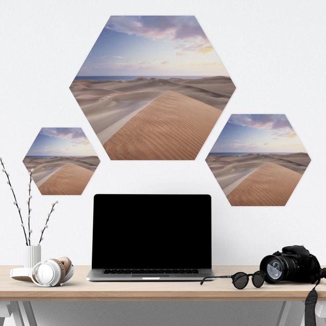Hexagons Forex schilderijen View Of Dunes