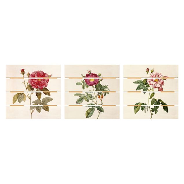 Houten schilderijen op plank - 3-delig Pierre Joseph Redouté - Roses