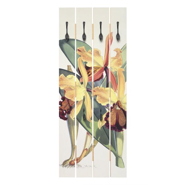 Wandkapstokken houten pallet Walter Hood Fitch - Orchid