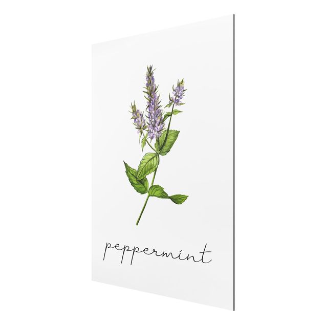 Aluminium Dibond schilderijen Herbs Illustration Pepper Mint