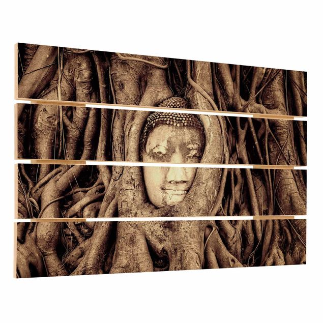 Houten schilderijen op plank Buddha In Ayutthaya Lined From Tree Roots In Brown