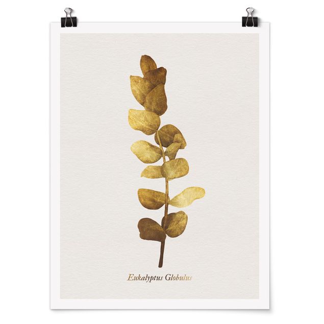 Posters Gold - Eucalyptus