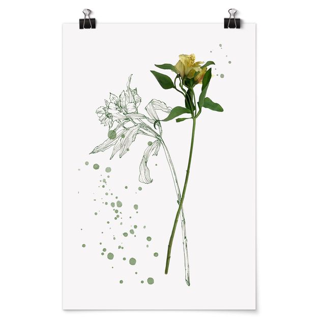 Posters Botanical Watercolour - Lily