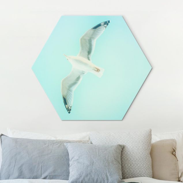 Hexagons Aluminium Dibond schilderijen Blue Sky With Seagull