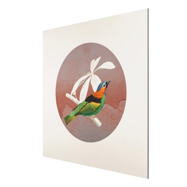 Aluminium Dibond schilderijen Bird Collage In A Circle ll