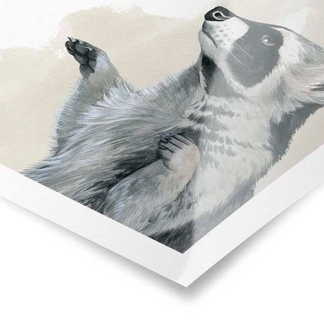 Posters Forest Friends - Raccoon