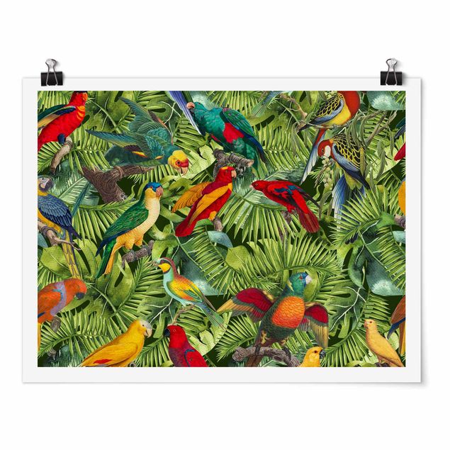 Posters Colourful Collage - Parrots In The Jungle