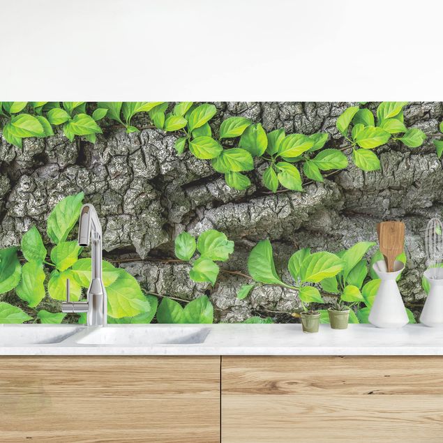 Achterwand voor keuken bloemen Ivy Tendrils Tree Bark