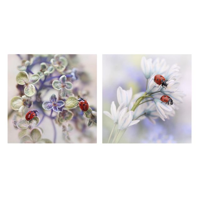 Canvas schilderijen - 2-delig  Ladybug On Flowers