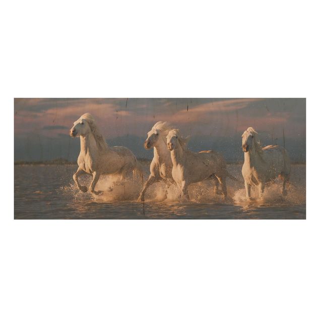 Houten schilderijen Wild Horses In Kamargue