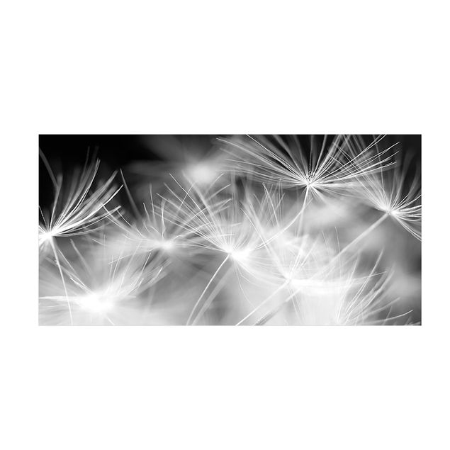 tapijt zwart wit Moving Dandelions Close Up On Black Background