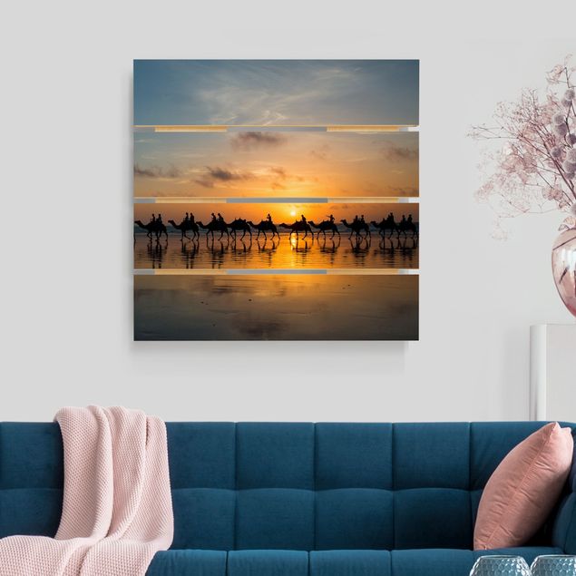 Houten schilderijen op plank Camels in the sunset
