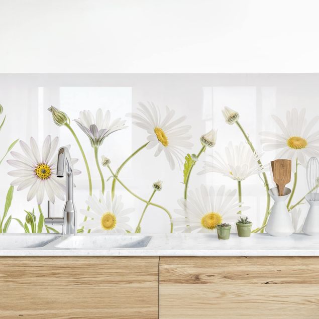 Achterwand voor keuken bloemen Gentle Daisy Mix I