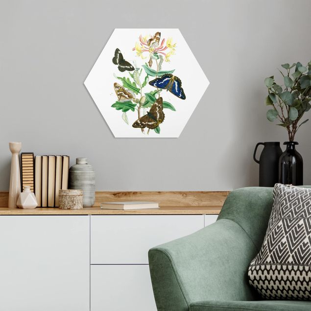 Hexagons Forex schilderijen British Butterflies IV