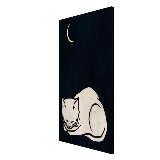 Magneetborden Sleeping Cat Illustration