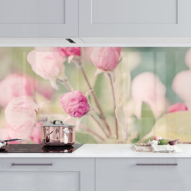 Achterwand voor keuken bloemen Apple Blossom Bokeh Light Pink