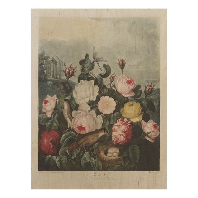 Houten schilderijen Botany Vintage Illustration Of Roses