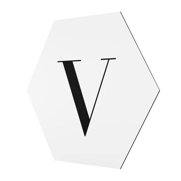 Hexagons Aluminium Dibond schilderijen Letter Serif White V