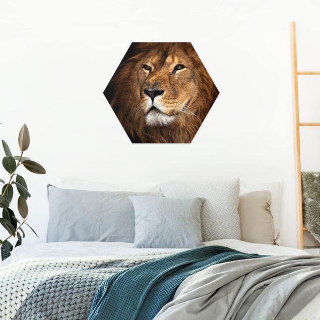 Hexagons Forex schilderijen Lion's Gaze