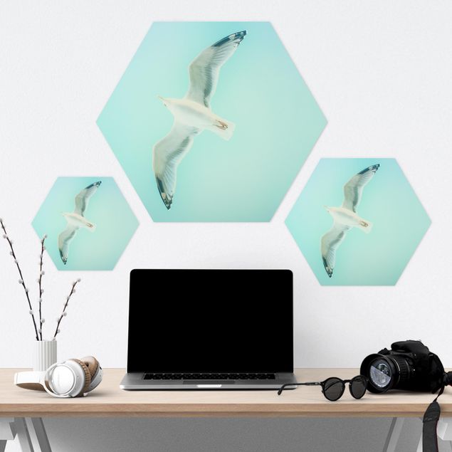 Hexagons Forex schilderijen Blue Sky With Seagull