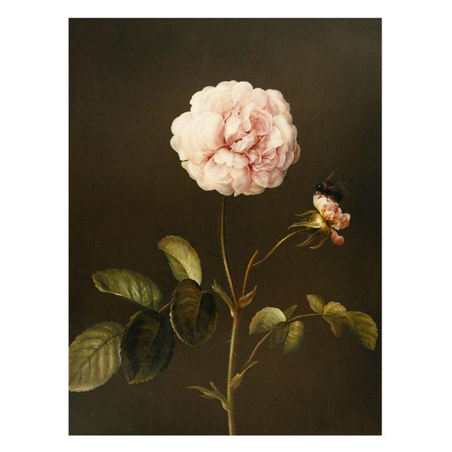 Magneetborden Barbara Regina Dietzsch - French Rose With Bumblbee