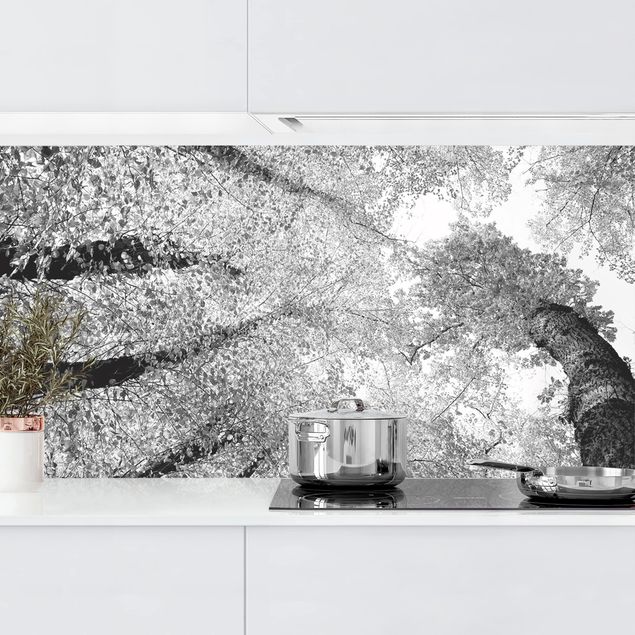 Achterwand voor keuken en zwart en wit Trees Of Life II