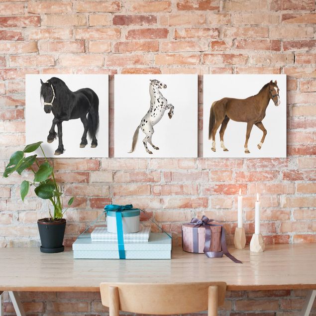 Canvas schilderijen - 3-delig Three Horses Trio