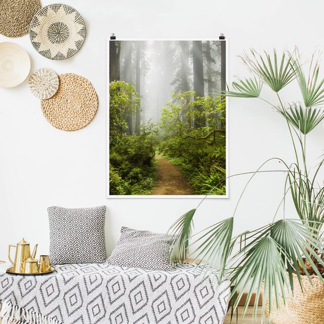 Posters Misty Forest Path