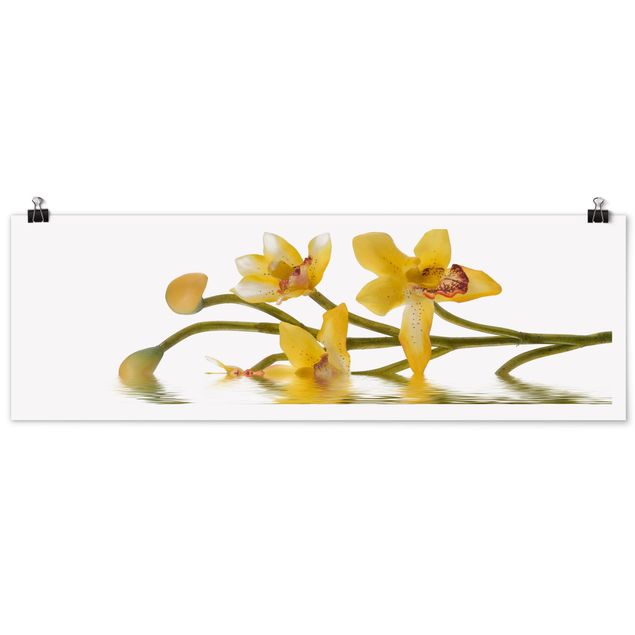 Posters Saffron Orchid Waters