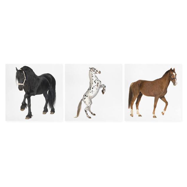 Canvas schilderijen - 3-delig Three Horses Trio