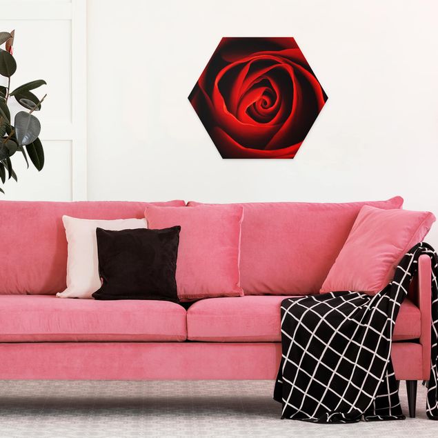 Hexagons Forex schilderijen Lovely Rose