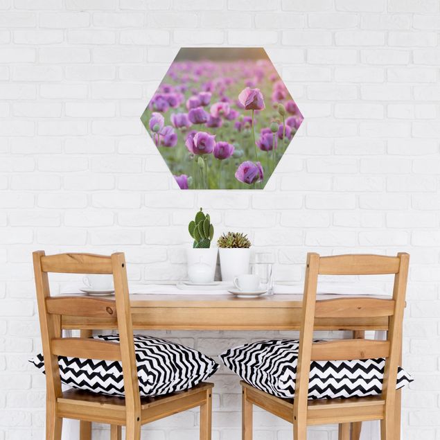 Hexagons Aluminium Dibond schilderijen Purple Poppy Flower Meadow In Spring
