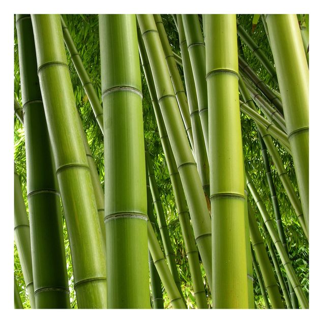 Meubelfolie IKEA Lack Tafeltje Bamboo Trees