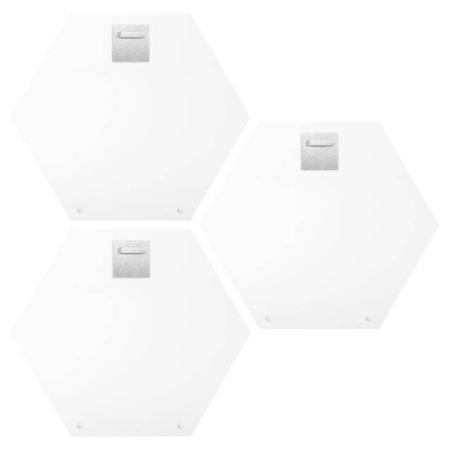 Hexagons Forex schilderijen - 3-delig Letters FAMILY White Set I