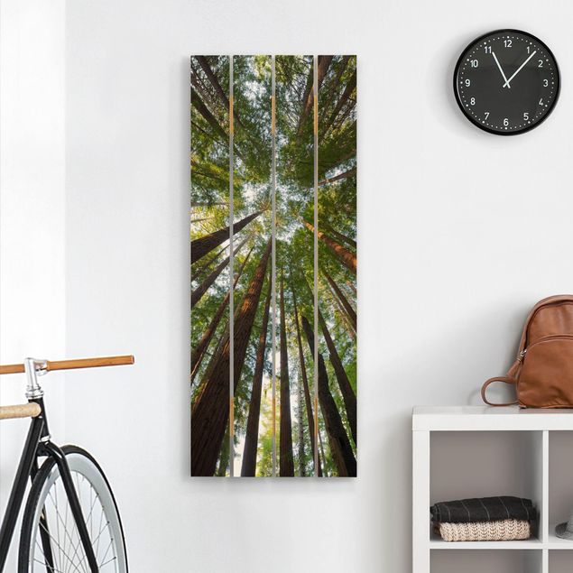 Houten schilderijen op plank Sequoia Tree Tops