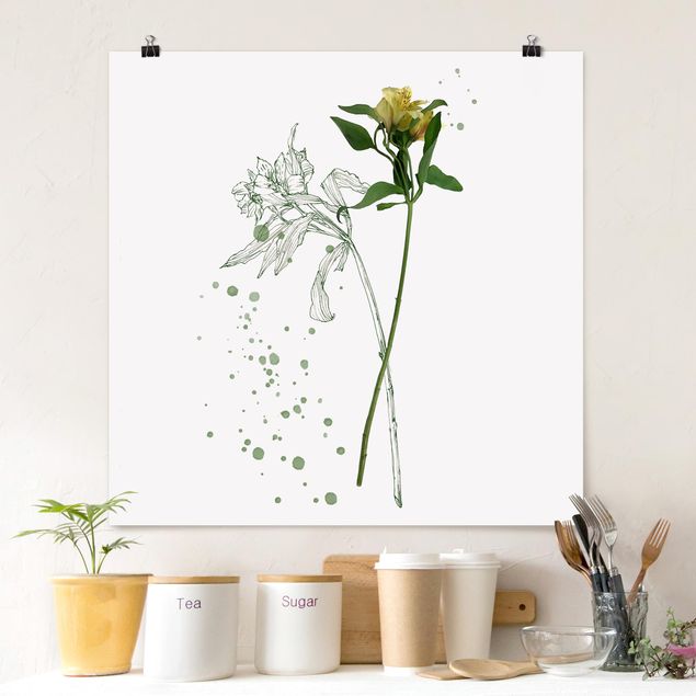 Posters Botanical Watercolour - Lily