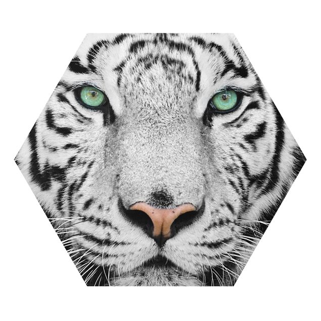 Hexagons Forex schilderijen White Tiger