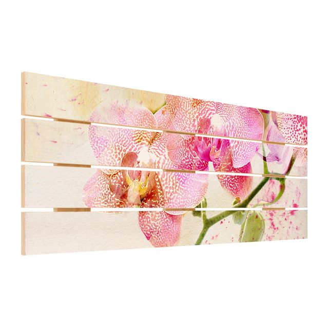 Houten schilderijen op plank Watercolour Flowers Orchids