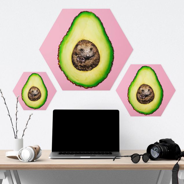 Hexagons Forex schilderijen Avocado With Hedgehog