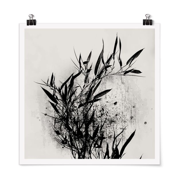 Posters Graphical Plant World - Black Bamboo