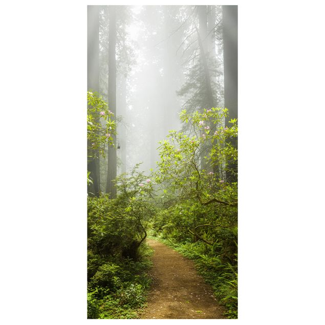 Ruimteverdeler Misty Forest Path