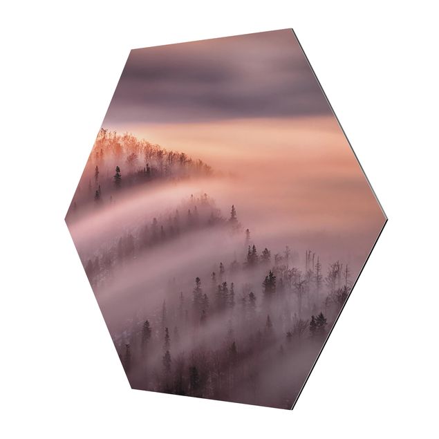 Hexagons Aluminium Dibond schilderijen Fog Flood