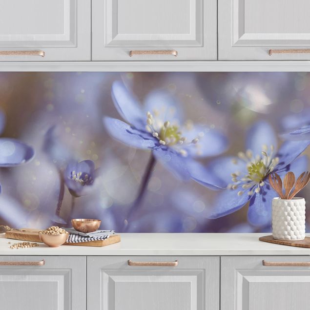 Achterwand voor keuken bloemen Anemone In Blue