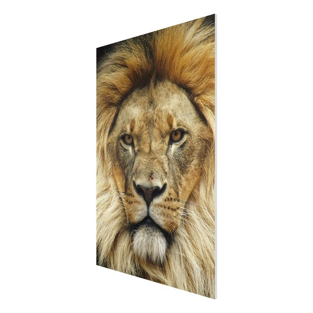 Forex schilderijen Wisdom Of Lion