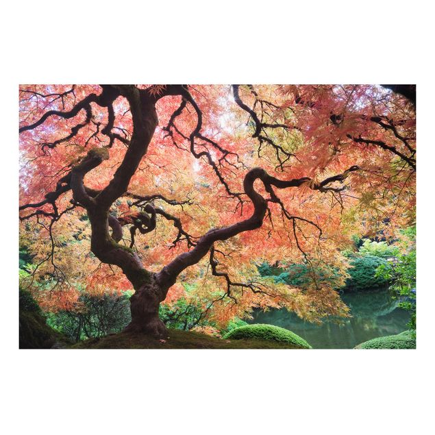 Forex schilderijen Japanese Garden